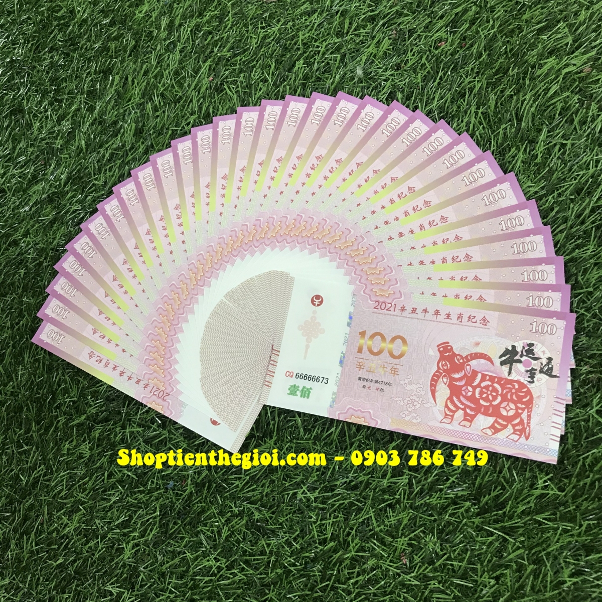 Tiền 100 dola macao hình con trâu 2021 - SP002446